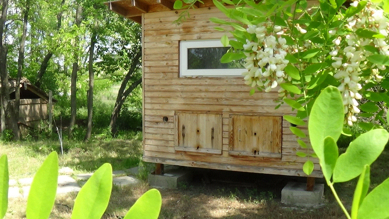 Методы Пчеловедения
